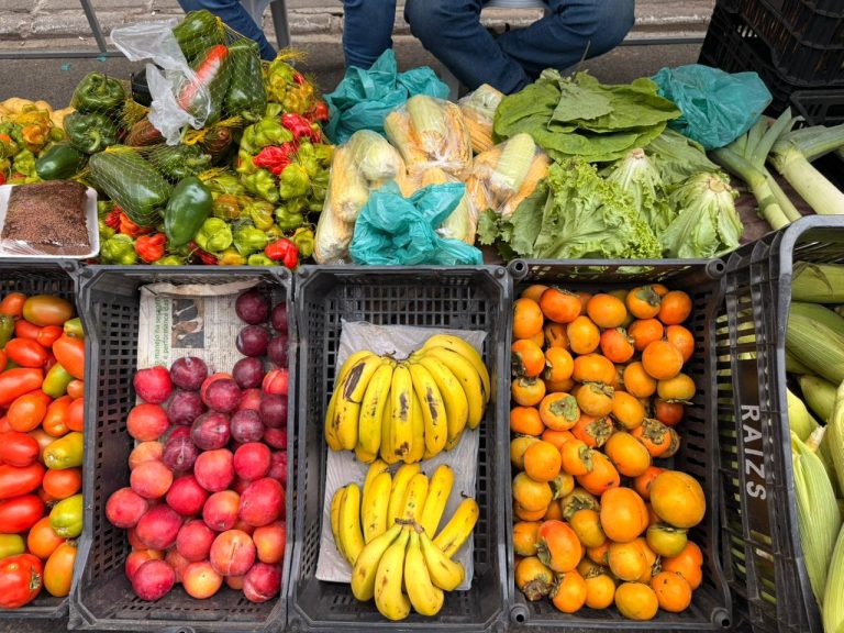 Itapefeira amplia programação, conquista público na sexta à noite e fortalece a economia local